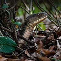 Egri-bugri qaynonalar bilan porno Shafqatsiz qamoqxona porno onlayn