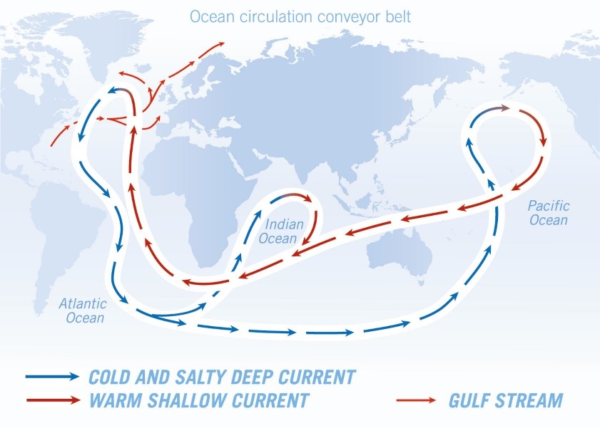 Ocean Conveyor Belt